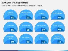 Voice of the Customer PPT Slide 11