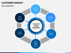 Customer Insight PPT Slide 3
