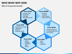 Who What Why How PPT Slide 3