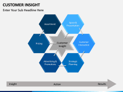 Customer Insight PPT Slide 7