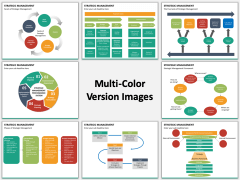 Strategic management multicolor combined