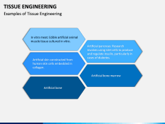 Tissue Engineering PPT Slide 12