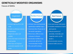 Genetically Modified Organisms (GMO) PPT Slide 12