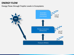Energy Flow PPT Slide 11