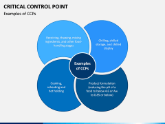 Critical Control Point PPT Slide 4