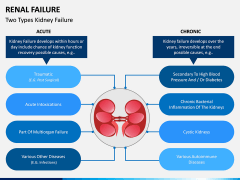 Renal Failure PPT Slide 3