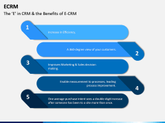 eCRM PPT Slide 5