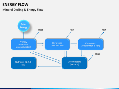 Energy Flow PPT Slide 14
