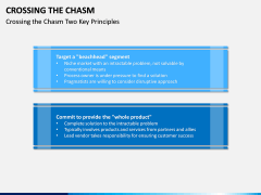 Crossing the Chasm PPT Slide 3