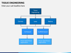 Tissue Engineering PPT Slide 7