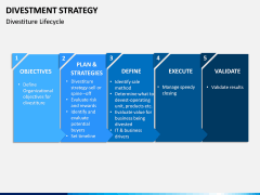 Divestment Strategy PPT Slide 13