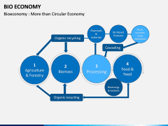 Bio Economy PPT Slide 12