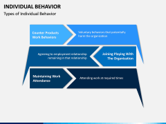 Individual Behavior PPT Slide 4