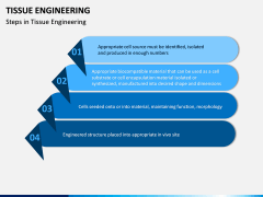 Tissue Engineering PPT Slide 10