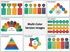 Project Management PPT Slide MC Combined