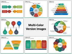 Donor Cycle Multicolor Combined