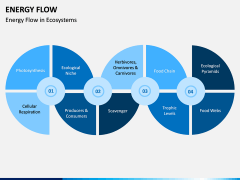 Energy Flow PPT Slide 3