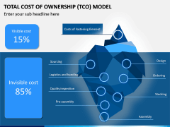 TCO model PPT slide 12