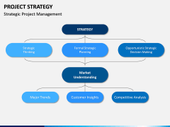 Project Strategy PPT Slide 11