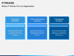 IT Policies PPT Slide 12