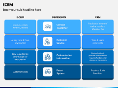 eCRM PPT Slide 14