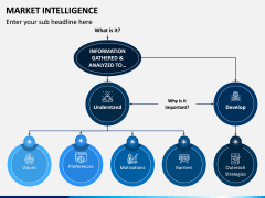 Market Intelligence PPT Slide 13