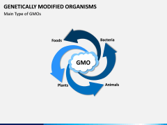Genetically Modified Organisms (GMO) PPT Slide 4