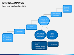 Internal Analysis PPT slide 11