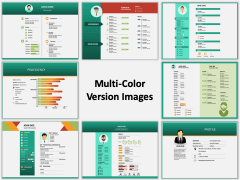 Resume Multicolor Combined