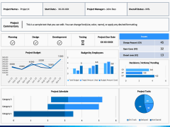 Project Dashboard PPT Slide 3