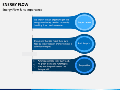 Energy Flow PPT Slide 6