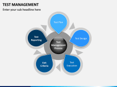 Test Management PPT slide 5