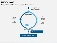 Energy Flow PPT Slide 13