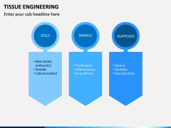 Tissue Engineering PPT Slide 14