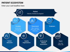 Patient Ecosystem PPT Slide 2