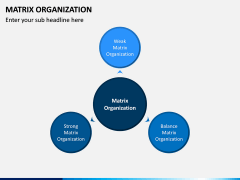 Matrix Organization PPT Slide 6