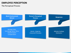 Employee Perception PPT Slide 4