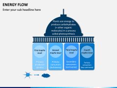 Energy Flow PPT Slide 12