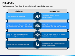 Tail Spend PPT Slide 13
