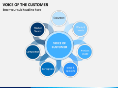 Voice of the Customer PPT Slide 3