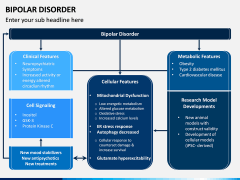 Bipolar Disorder PPT Slide 2