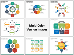 Customer Insight PPT Slide MC Combined