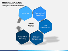 Internal Analysis PPT slide 6