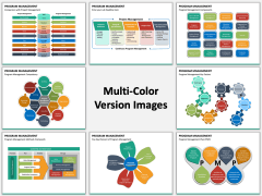Program Management PPT Slide MC Combined