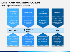 Genetically Modified Organisms (GMO) PPT Slide 11