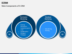 eCRM PPT Slide 8