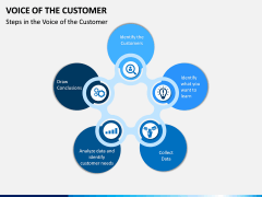 Voice of the Customer PPT Slide 8