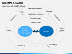 Internal Analysis PPT slide 12