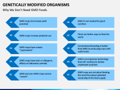 Genetically Modified Organisms (GMO) PPT Slide 7