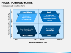 Project Portfolio Matrix PPT Slide 2